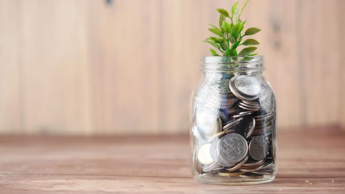 Coast FIRE vs Barista FIRE vs Lean FIRE Explained Coins with a growing sprout — a Coast FIRE pot left untouched compounds toward a retirement target